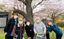 桜の下でのひととき