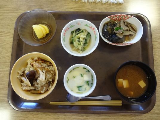 バランスの取れた食事トレー