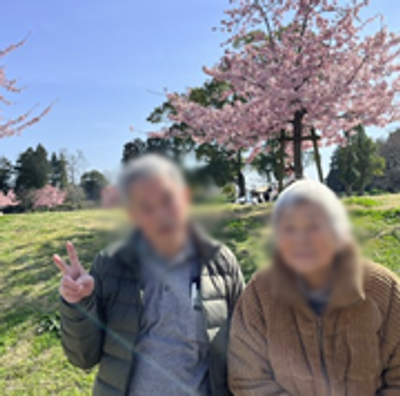 桜のある風景