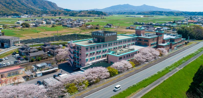 桜並木の外観
