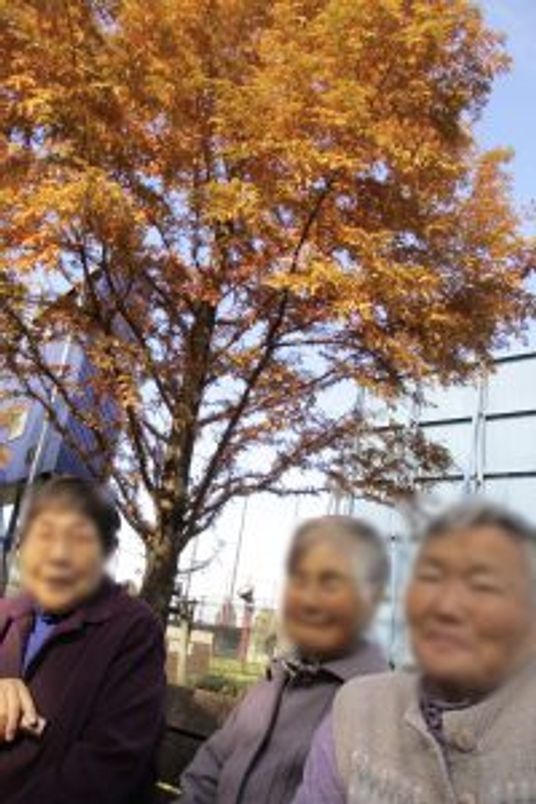 紅葉の下で休憩中の様子
