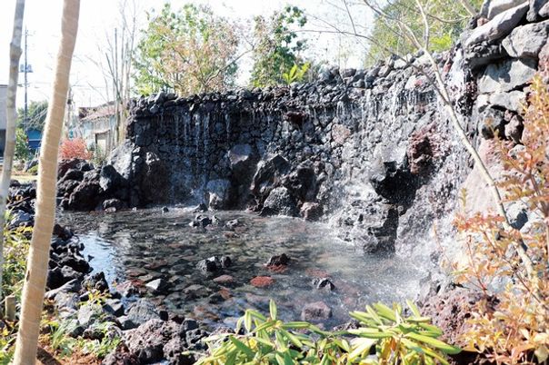 静かな水辺の庭園
