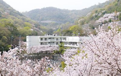 桜に囲まれた建物外観