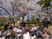 桜並木の下でのひととき