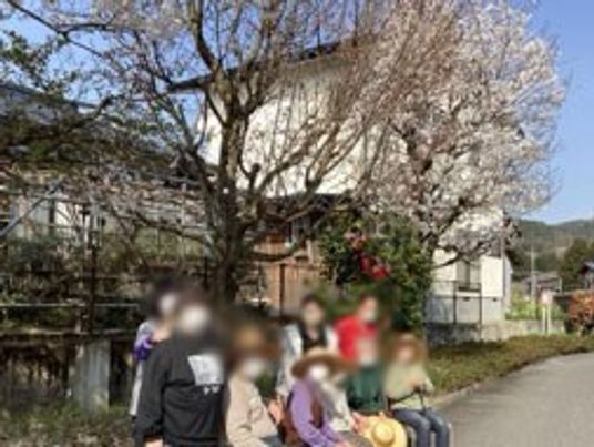 桜の木の下の風景