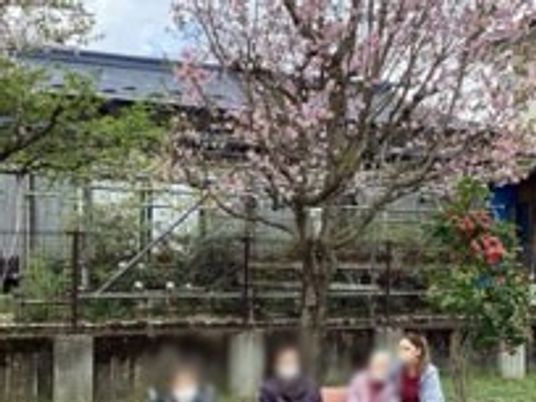庭の風景