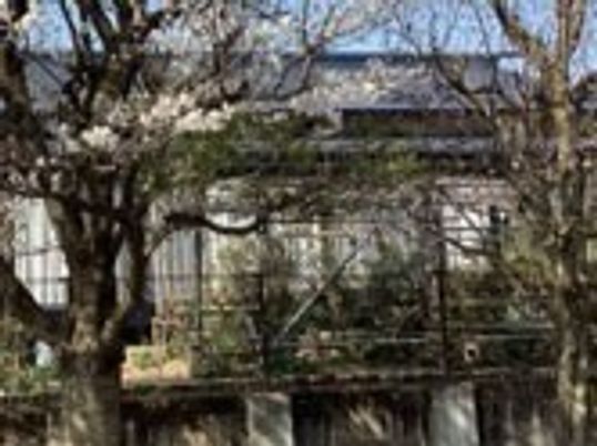 桜が咲く外観の建物