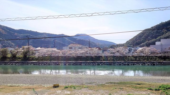 穏やかな風景の庭