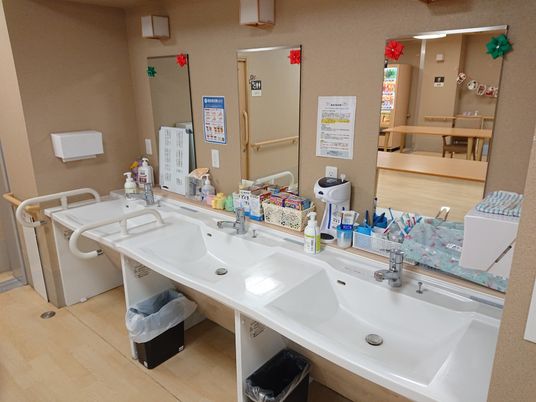 手すりと鏡の洗面設備