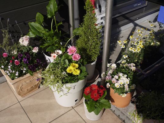 手入れされた花の中庭