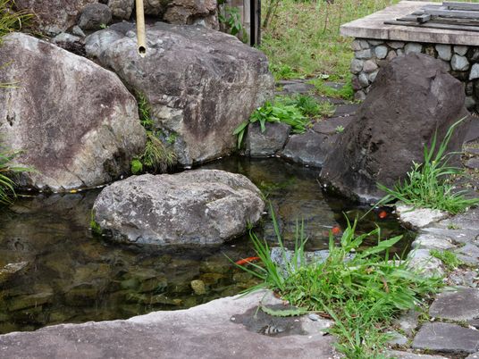中庭の清涼感ある風景