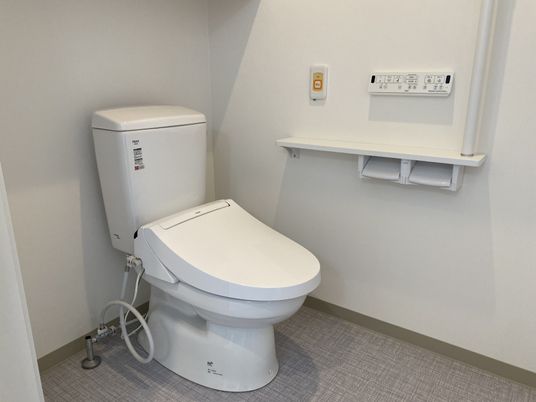 清潔なトイレの様子