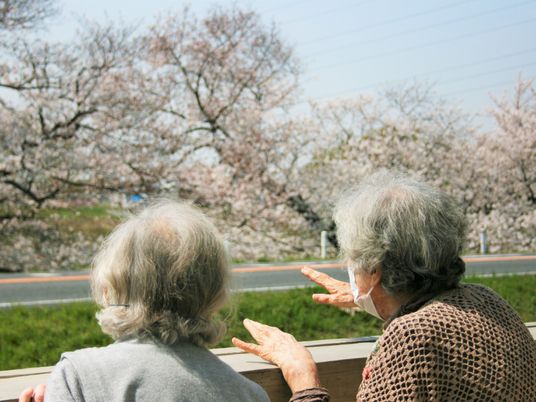 桜を楽しむ二人の背中