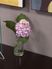花瓶に生けられた紫陽花