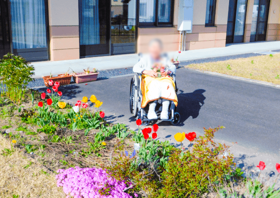 色とりどりの花が咲く庭