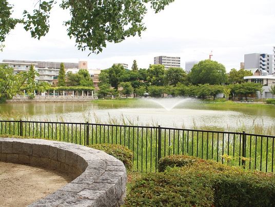 緑豊かな中庭の風景