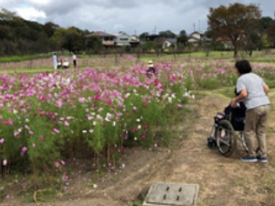 花が咲く庭園