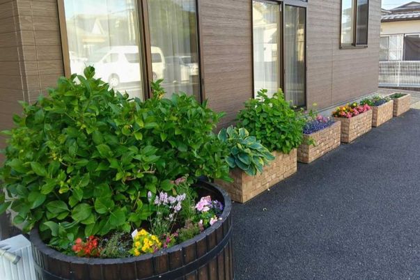 色とりどりの花々が彩る庭