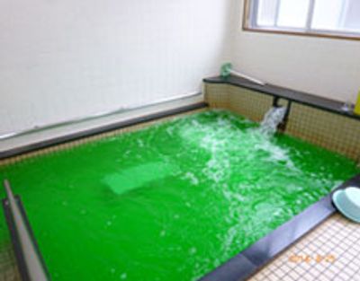 温泉風の浴室