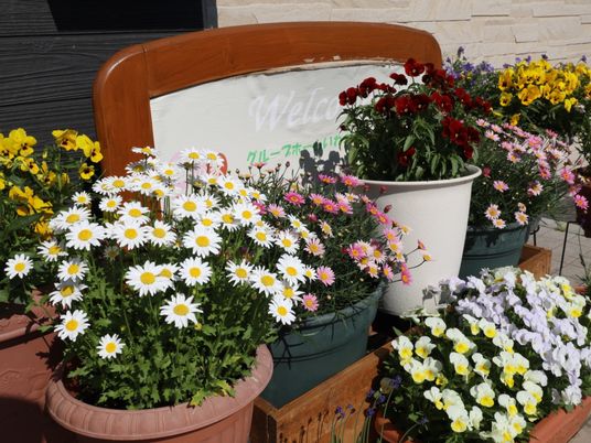 色とりどりの花が並ぶエントランス