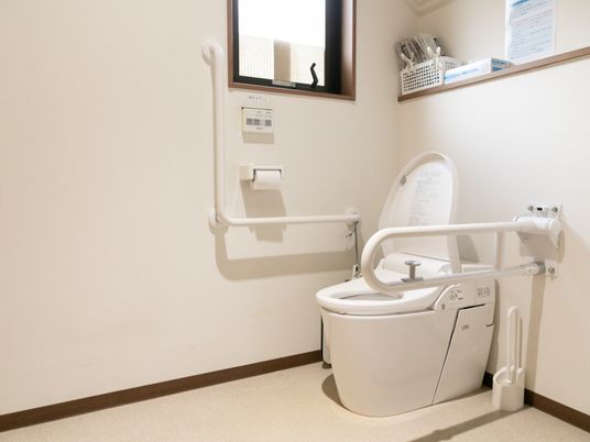 安全なトイレの手すり