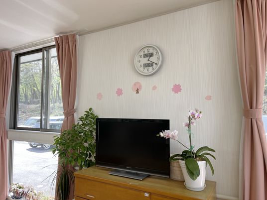 明るい空間のテレビ周辺