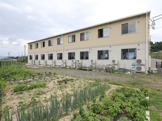庭付きの明るい建物外観