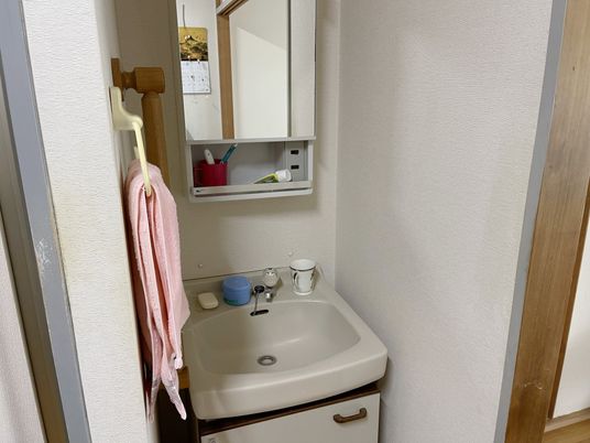 洗面所の清潔な一角