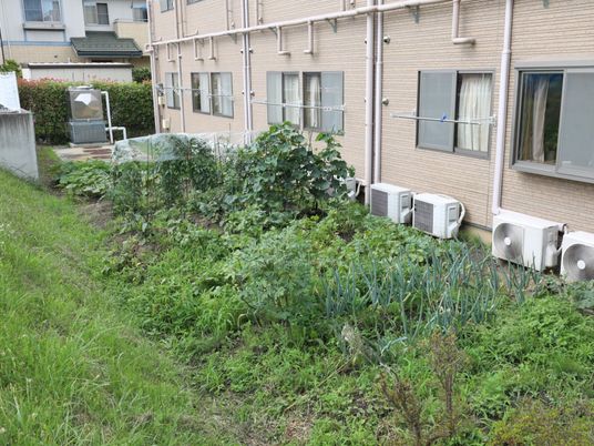 緑に囲まれた施設外観
