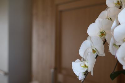 清潔感ある居室