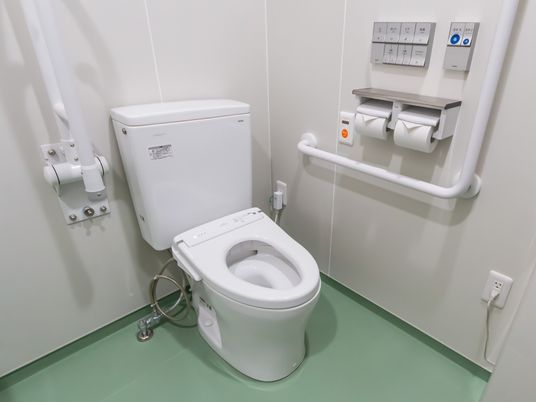 手すり付き清潔なトイレ