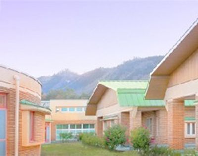 平和な中庭
