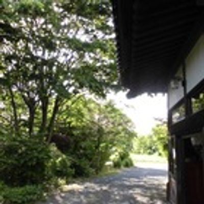 緑豊かな庭