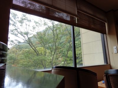 緑豊かな景色の洋室