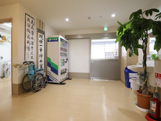廊下に配置された植物