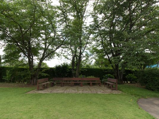 緑に囲まれたベンチ