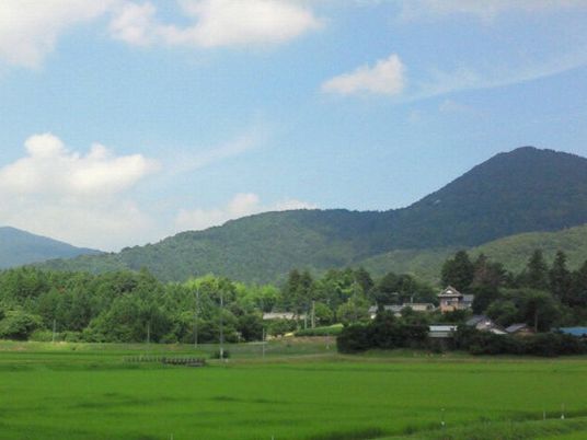 自然豊かな風景
