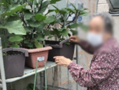 植物の手入れをする人