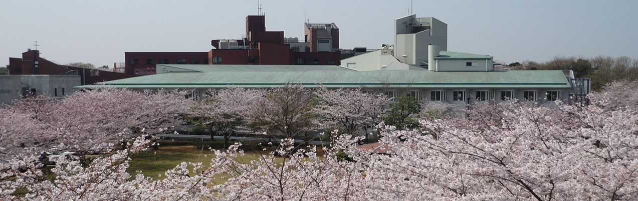 桜に囲まれた建物外観
