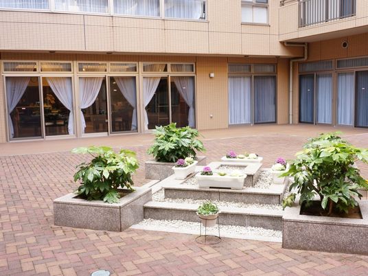 明るい庭の観葉植物