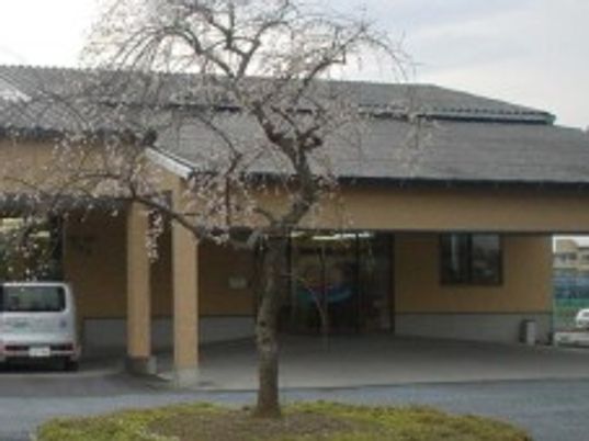 桜が咲く建物外観