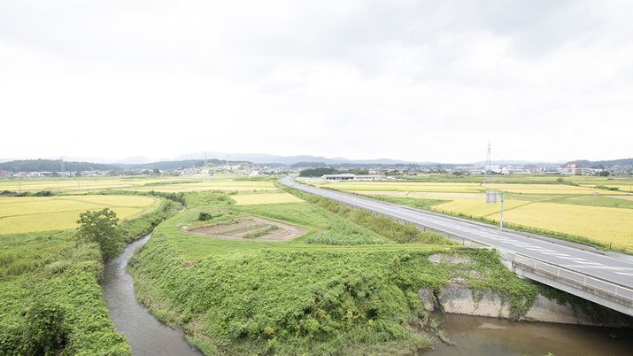 広がる緑の風景