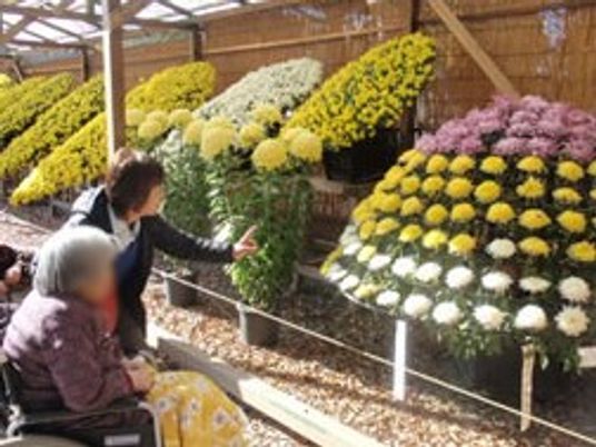 花を楽しむ庭