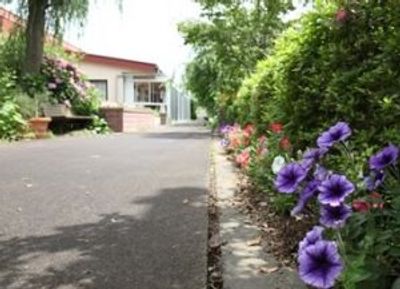 色鮮やかな花壇の庭
