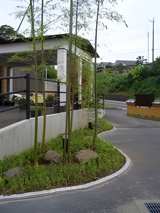 竹林の庭