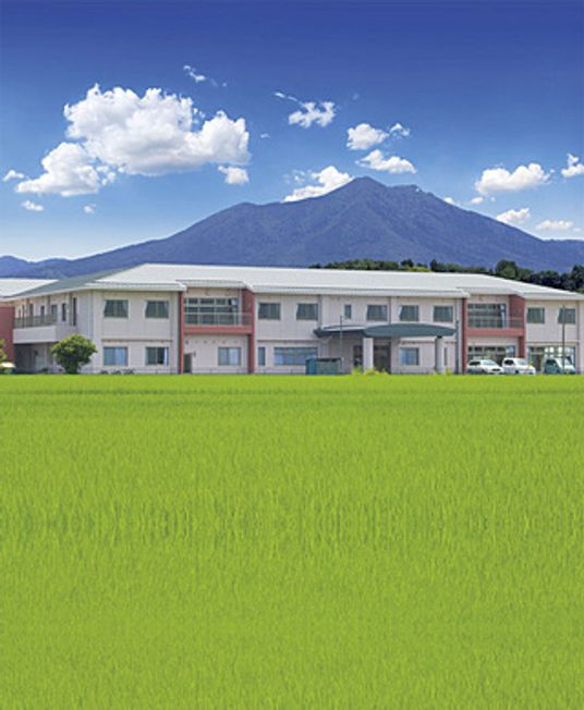 緑に囲まれた建物の外観