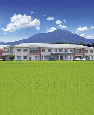 緑に囲まれた建物の外観