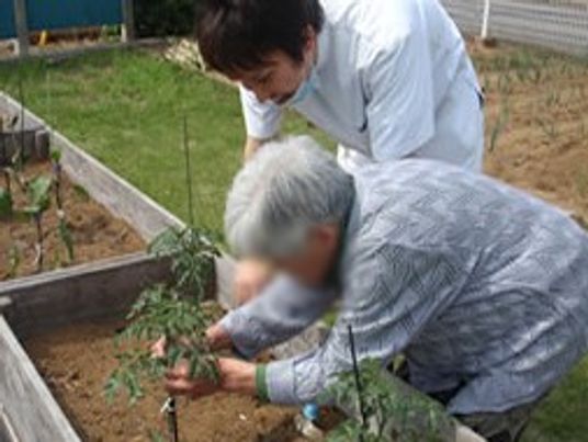菜園で活動する様子
