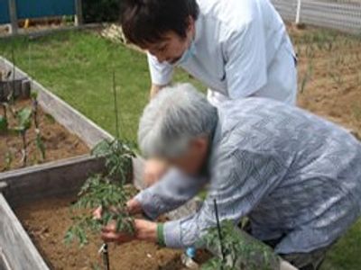 菜園で活動する様子