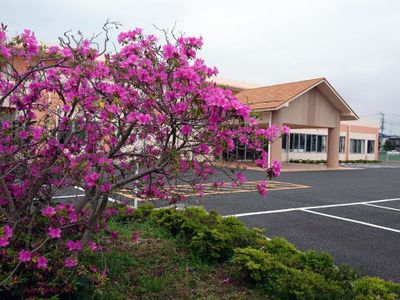 満開の花咲く外観